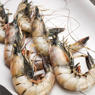 King Prawns